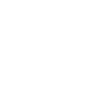 bmi florence