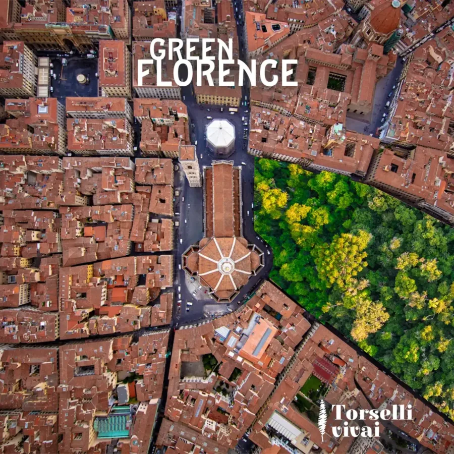 Torselli vivai