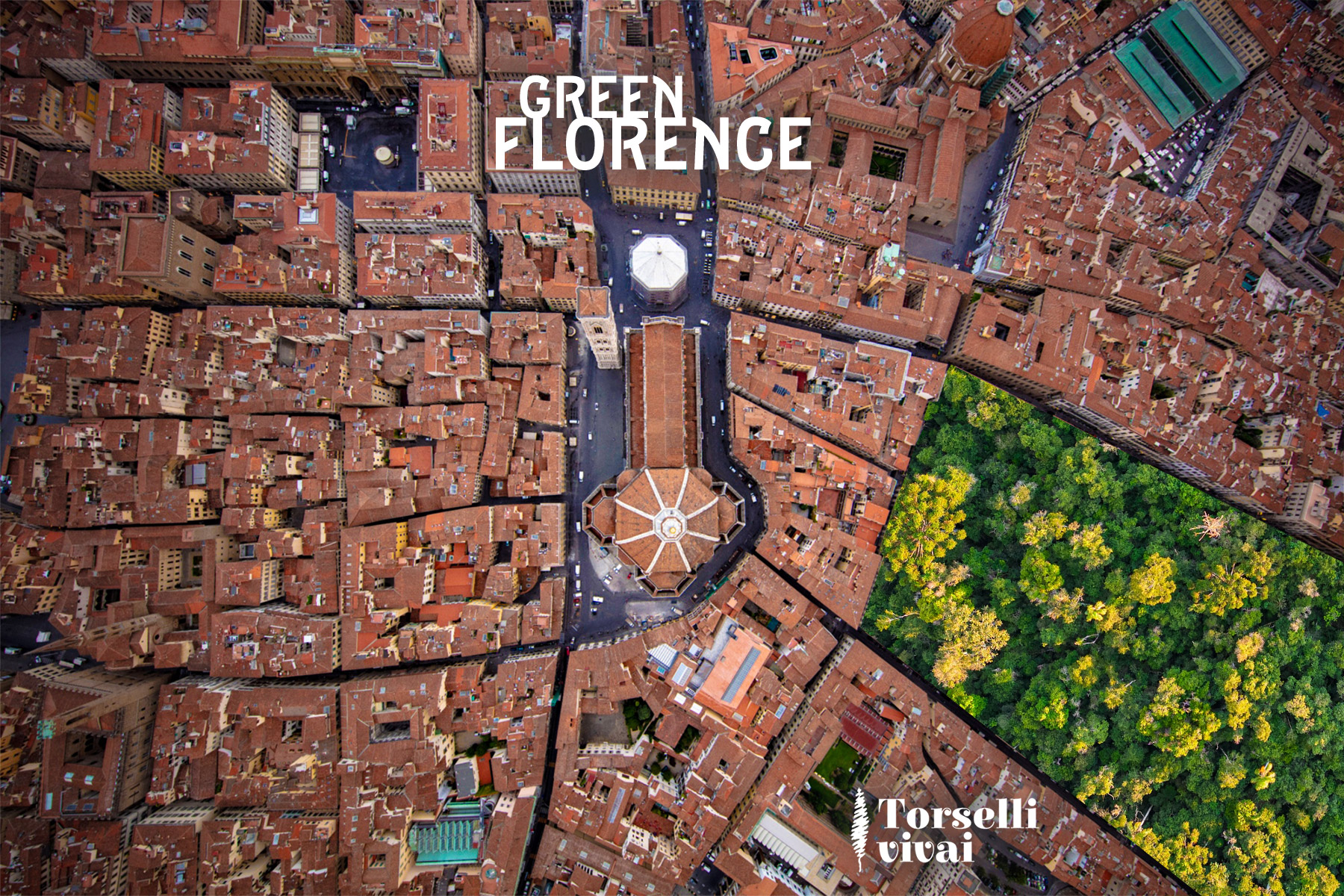 Le Piante ricordano, comunicano e dormono