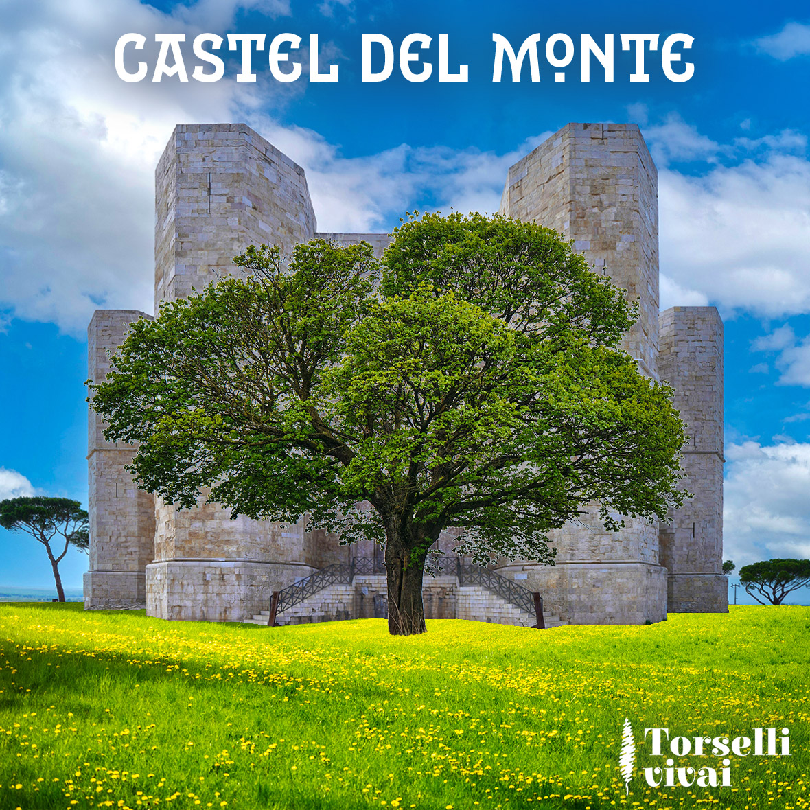 L’8 di Castel del Monte